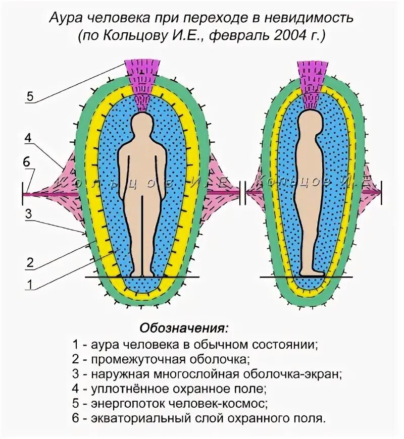 Распиновка ауры Сенсационные открытия - Страница 6 - Космическая Этика