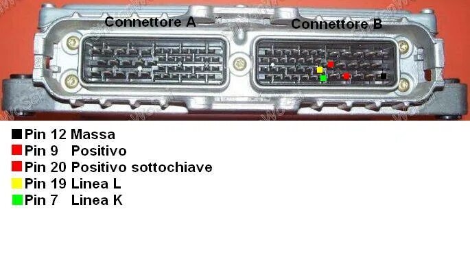 Распиновка бош Cerco Pinout Bosch Ms6.3 - Argomenti esterni - ETP Solutions Sagl