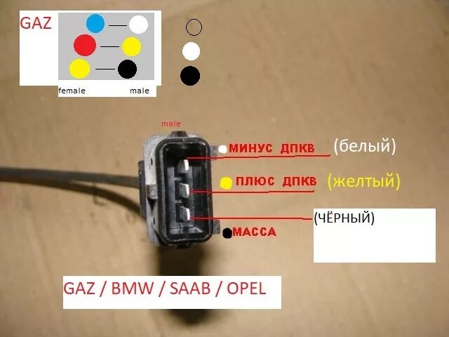 Распиновка датчика РАСПИНОВКА и Проверка ДПКВ - BMW 3 series (E36), 1,6 л, 1991 года просто так DRI