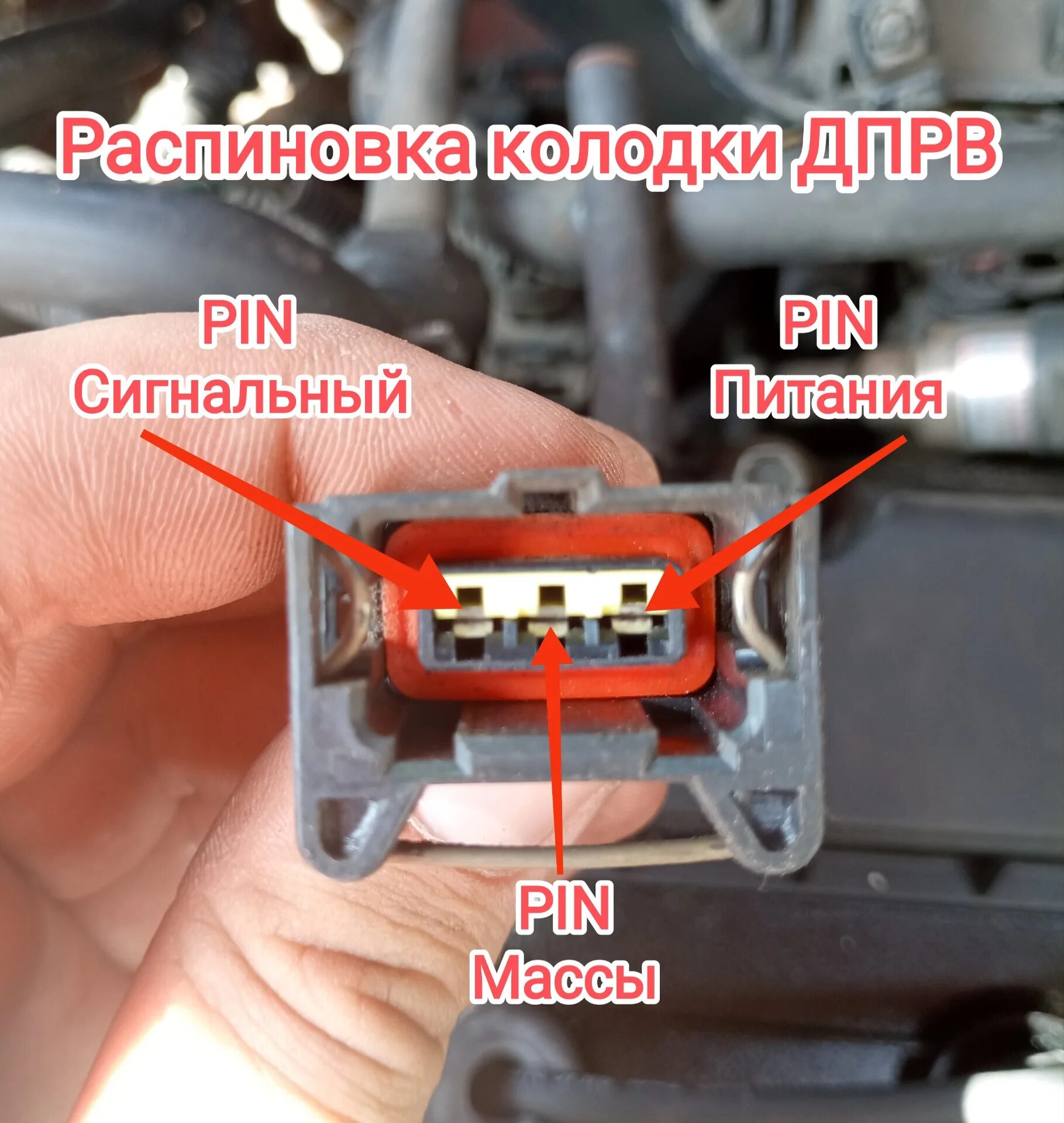 Распиновка дпрв Часть 1.1 "Реанимация электрики" ЭБУ + ДПРВ - Chevrolet Aveo Sedan (1G), 1,6 л, 