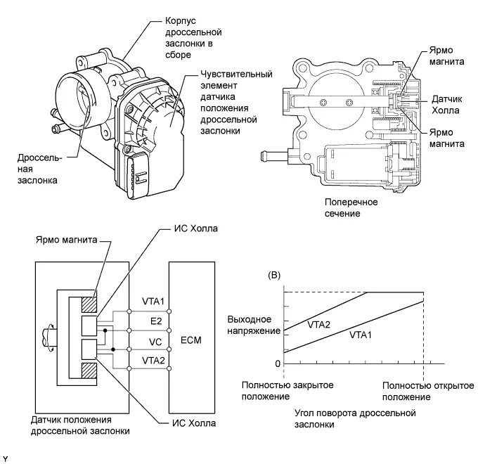 Распиновка дроссельной заслонки P060E Throttle position internal control module - AvtoTachki