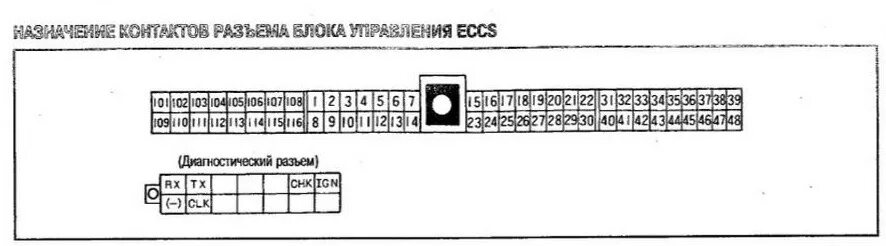 Распиновка эбу ниссан 33. Ай нид хелп! Нужна распиновка мотора SR 18 DE! - Nissan Wingroad (Y10), 1,8 