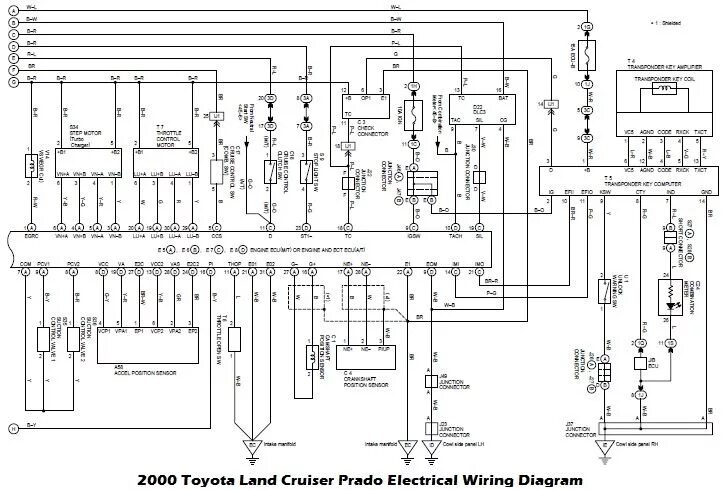 Распиновка land cruiser toyota electrical wiring diagram download #7