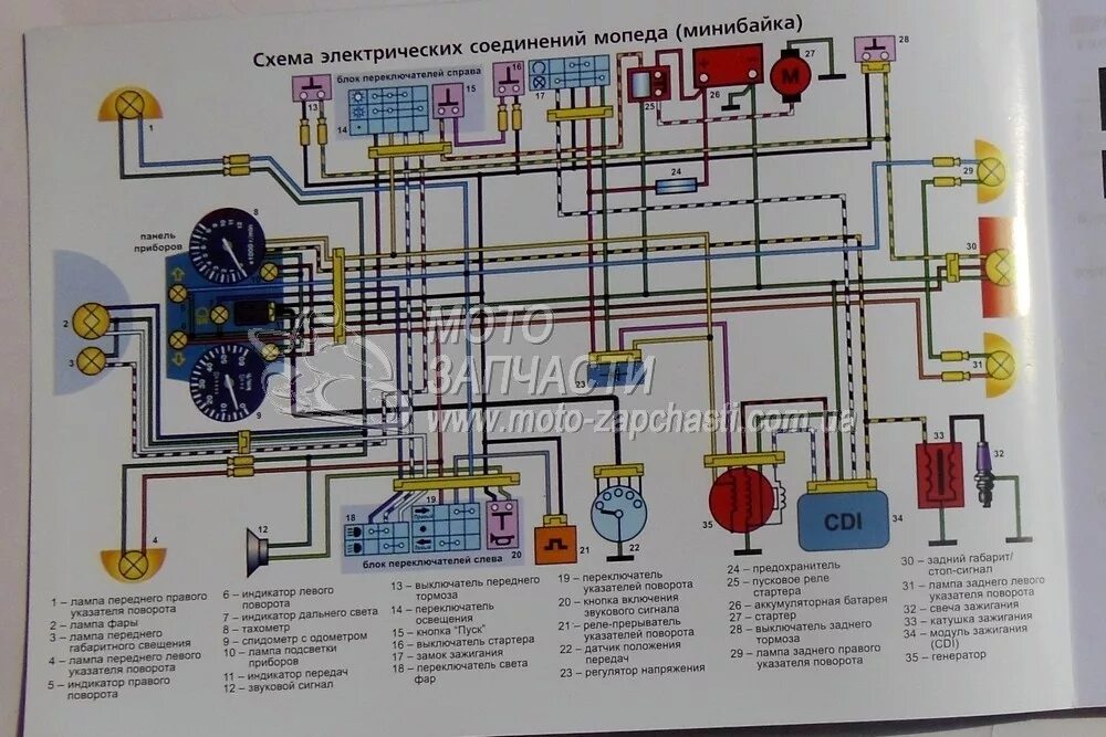 Распиновка мопеда альфа Электрическая схема проводки мопеда Альфа