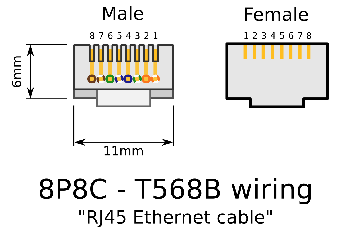 Распиновка rg File:RJ-45 plug and jack.svg - Wikimedia Commons