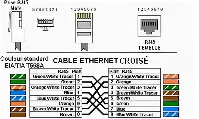 Распиновка rj45 для ip камер Les produits laitiers Dos, dos, dos partie Menda City les cables rj45 réellement