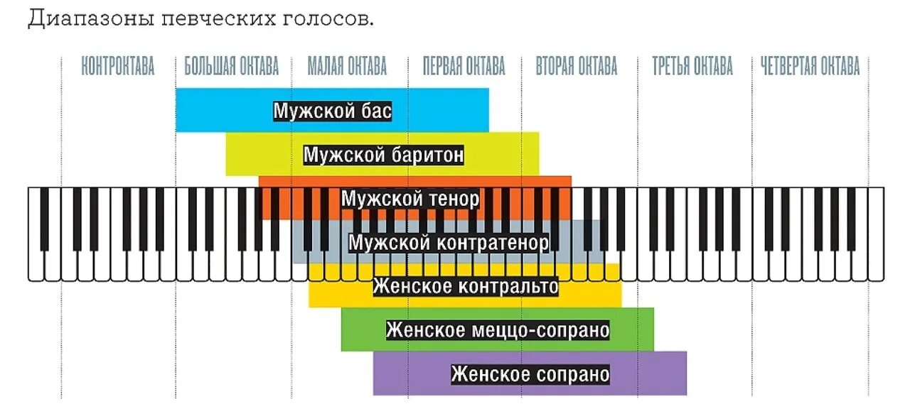 Расположение голосов в хоре схема Октава человека