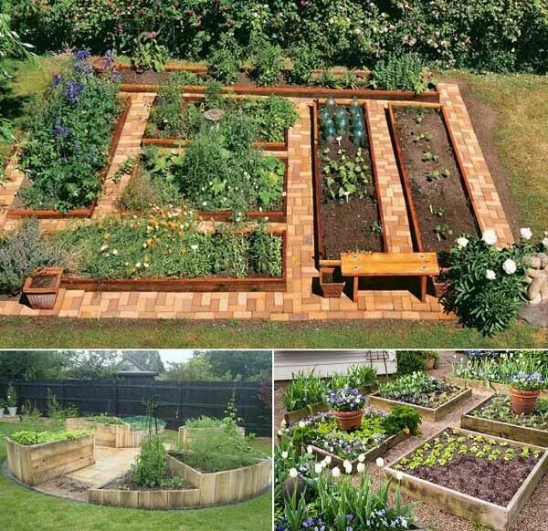 Расположение грядок на участке фото 22 Ways for Growing a Successful Vegetable Garden Amenagement jardin, Design de 