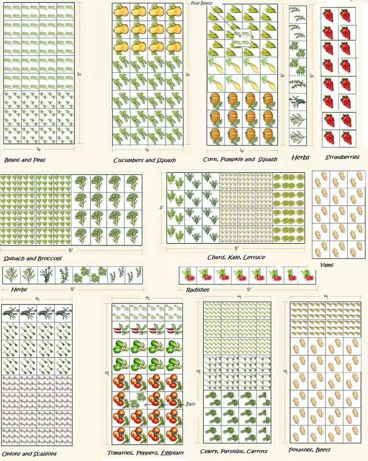 Расположение грядок на участке схема How to Plan and Layout a Vegetable Garden Vegetable garden planner, Vegetable ga