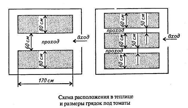 Расположение грядок на участке схема 2 ряда грядок ДПК шириной 1 метр, высотой 15 см в теплицу, длина 4 м - купить с 