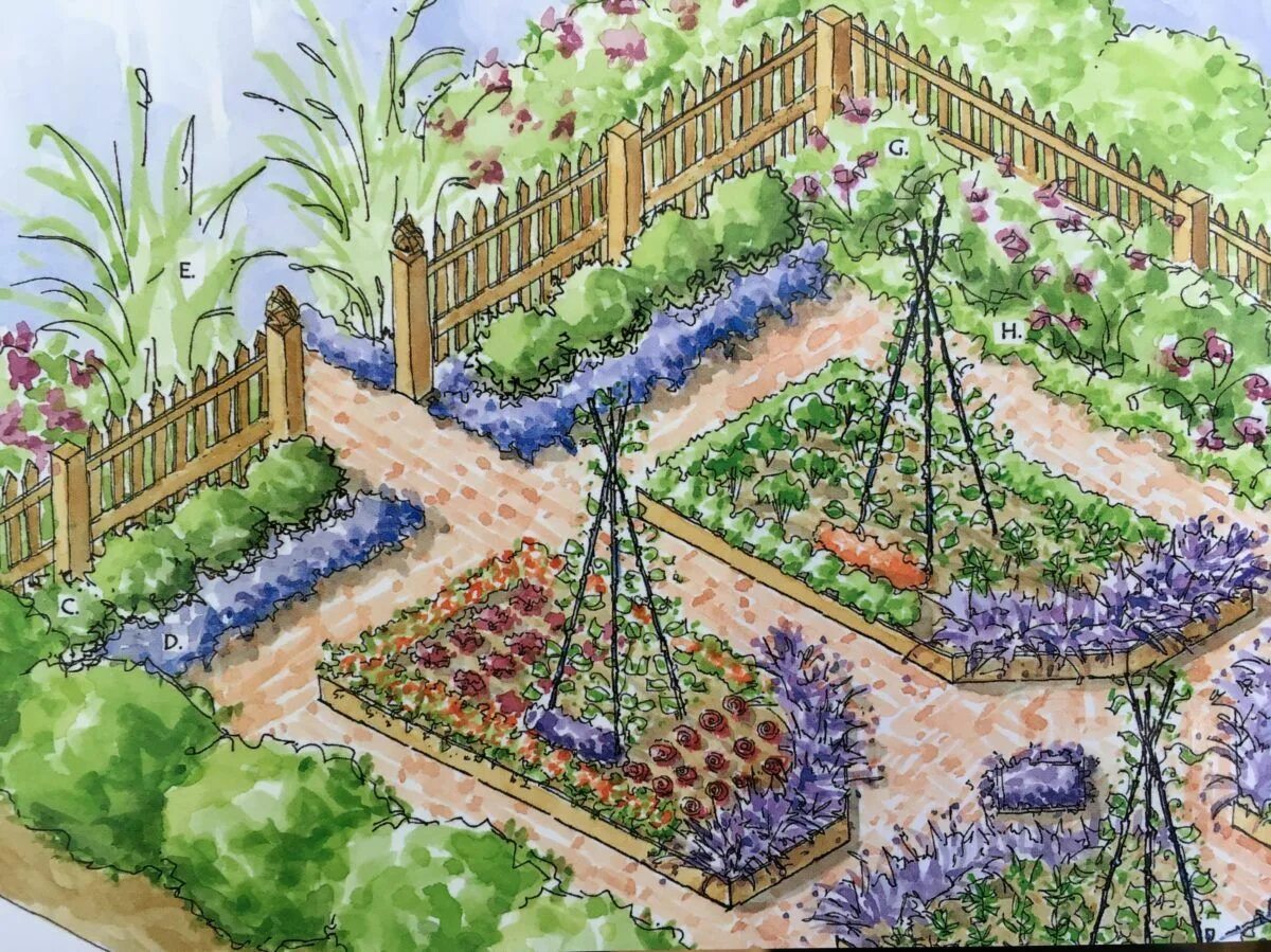 Расположение грядок на участке схема Kitchen Garden Designs Family Food Garden Garden design plans, Garden design lay