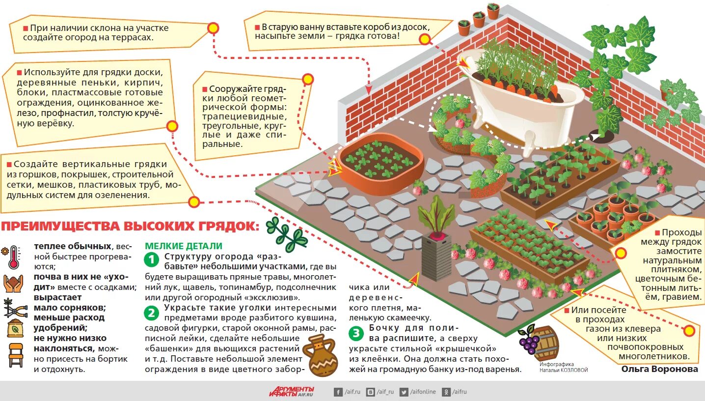 Расположение грядок схема Как обустроить огород на участке? Инфографика Аргументы и Факты