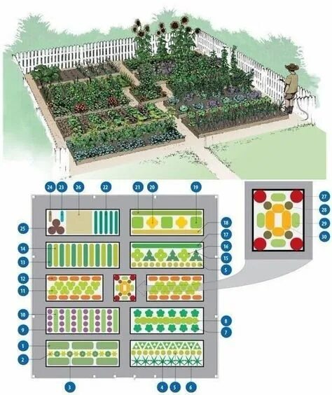 Расположение грядок схема Идеи на тему "Идея для меня" (7) в 2021 г садовый контейнер, иллюстрация дерева,