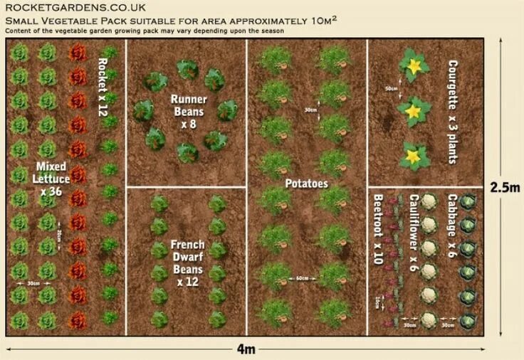 Расположение грядок схема 19 Vegetable Garden Plans & Layout Ideas That Will Inspire You Small vegetable g