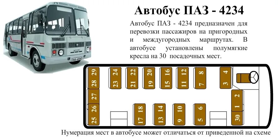 Расположение мест в автобусе паз схема ПАЗ 4234