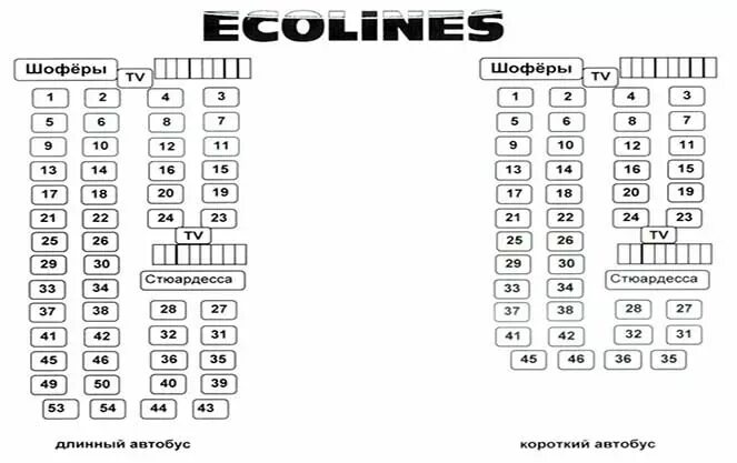 Расположение мест в двухэтажном автобусе схема ECOLINES - крупный оператор международных автобусных перевозок