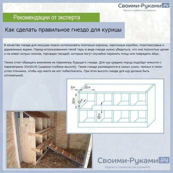 Расположение насестов и гнезд в курятнике схема Гнезда в курятнике (20 фото): размеры. Как своими руками правильно сделать курин