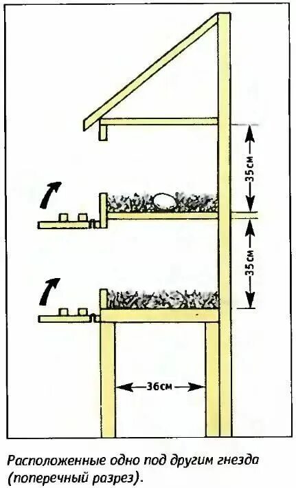 Расположение насестов и гнезд в курятнике схема как построить курятник своими руками на 20 кур чертежи: 5 тыс изображений найден