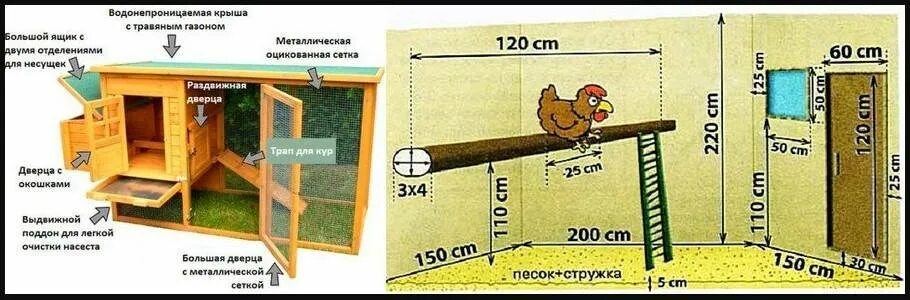 Расположение насестов и гнезд в курятнике схема Гнезда в курятнике (20 фото): размеры. Как своими руками правильно сделать курин