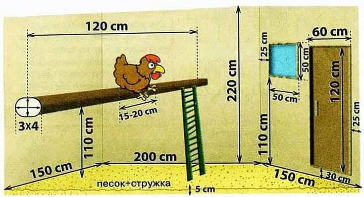 Расположение насестов и гнезд в курятнике схема Как построить птичник на 10-20 кур своими руками Поддоны для курятника, Кормушка