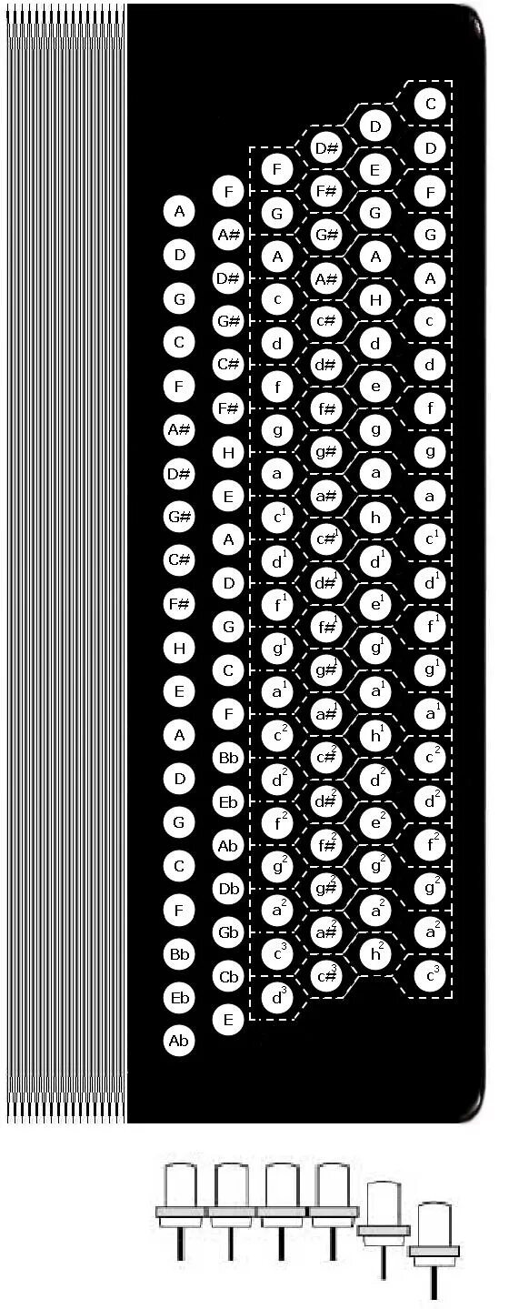 Расположение нот на баяне схема Аккордеон Кравцова Левая клавиатура - расположение кнопок