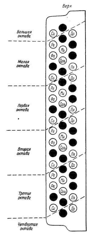 Расположение нот на баяне схема Принципы первоначального обучения на гармони