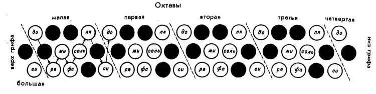 Расположение нот на баяне схема Школа игры на баяне Говорушко 1981г. Музыкальный звукоряд