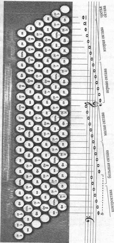 Расположение нот на баяне схема Аккордеон: что это такое и с чем его едят?: compusic - ЖЖ