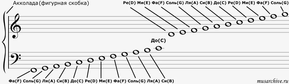 Расположение нот на руках схема Картинки РАСПОЛОЖЕНИЕ НОТ НА КЛЮЧЕ