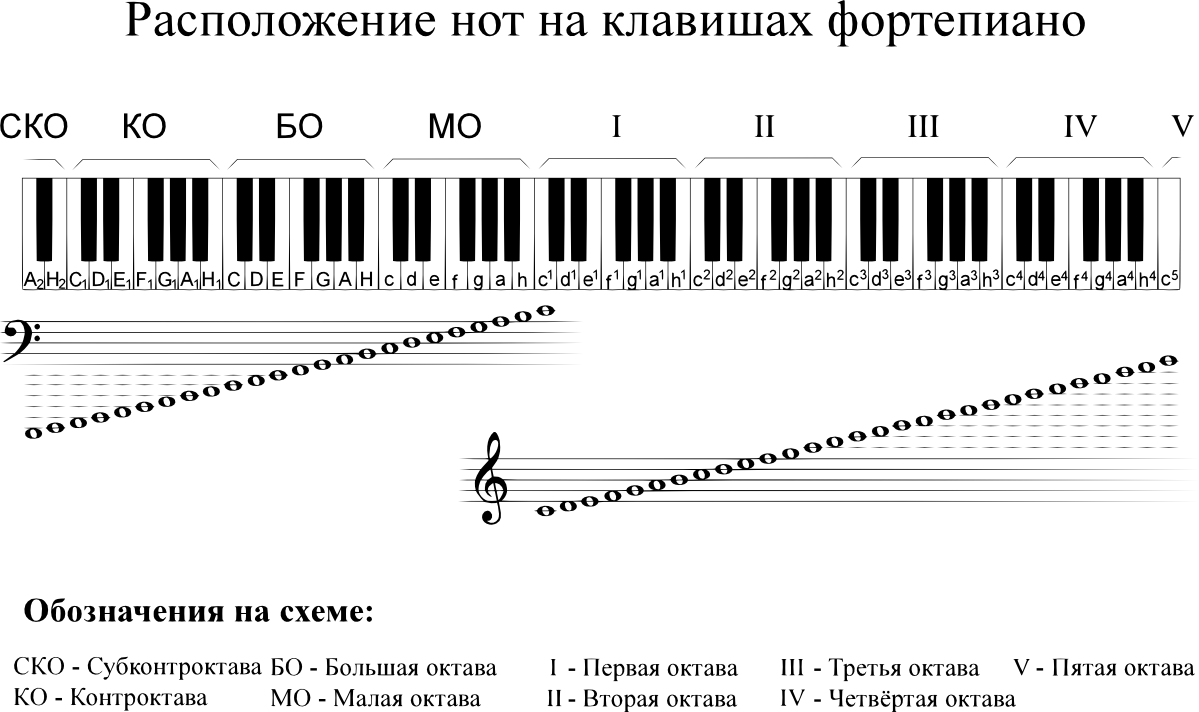 Расположение нот на руках схема Нотная грамота для начинающих на пианино