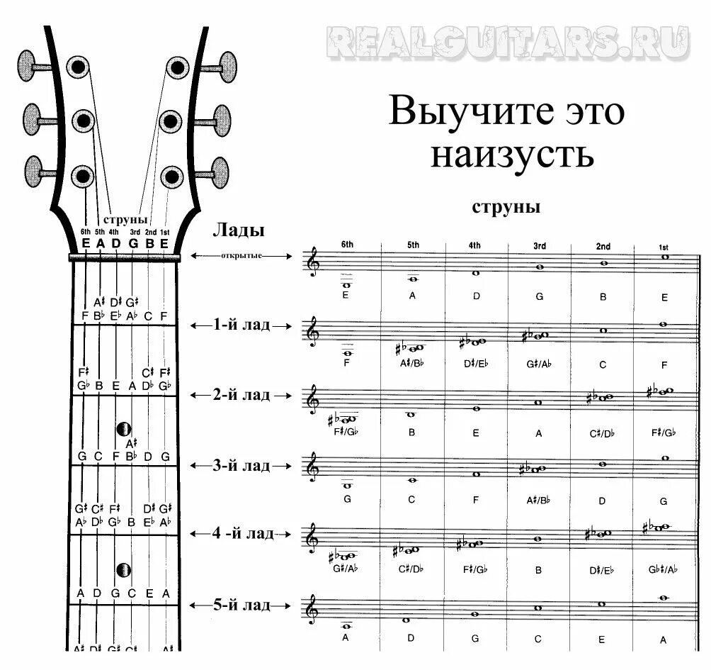 Расположение нот на руках схема гитара ноты/гаммы에 있는 핀