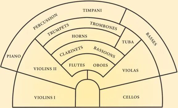 Расположение оркестра схема The layout of an orchestra Orchestra, Teaching orchestra, Instruments of the orc