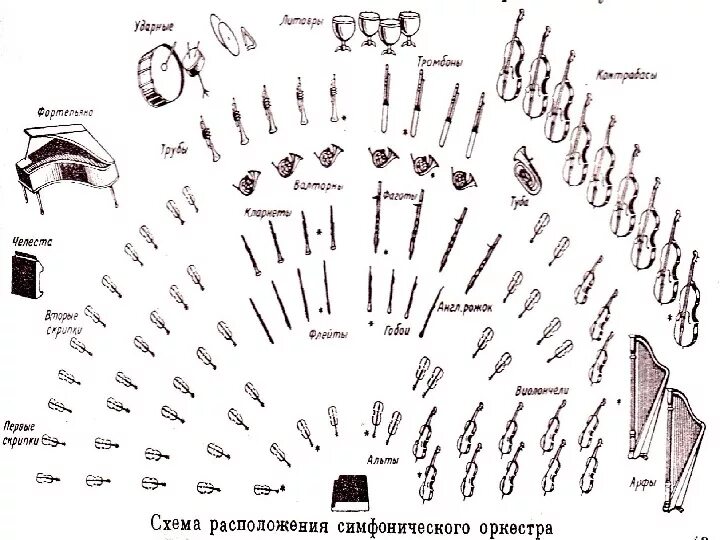 Расположение оркестра схема Схема расположения музыкальных инструментов в симфоническом оркестре - Фотоподбо