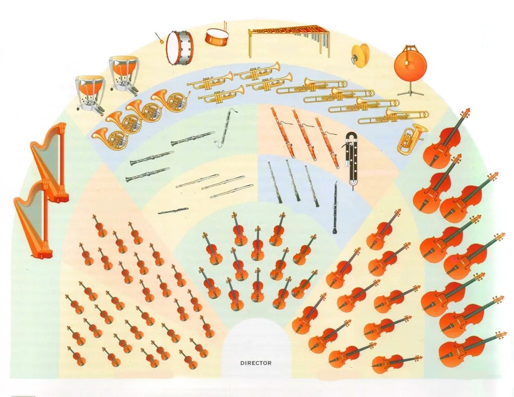 Расположение оркестра схема Instrumente des Orchesters Diagramm Diagram Quizlet