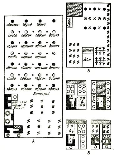 Расположение плодовых деревьев на участке схема РАЗМЕЩЕНИЕ ПЛОДОВЫХ ДЕРЕВЬЕВ, ЯГОДНИКОВ И ВИНОГРАДНИКОВ 1972 Дылевский Г.А., Пащ