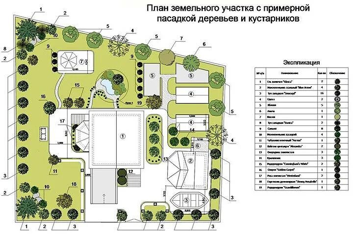 Расположение плодовых деревьев на участке схема Правильная планировка сада: проекты, выбор места, совместимость растений