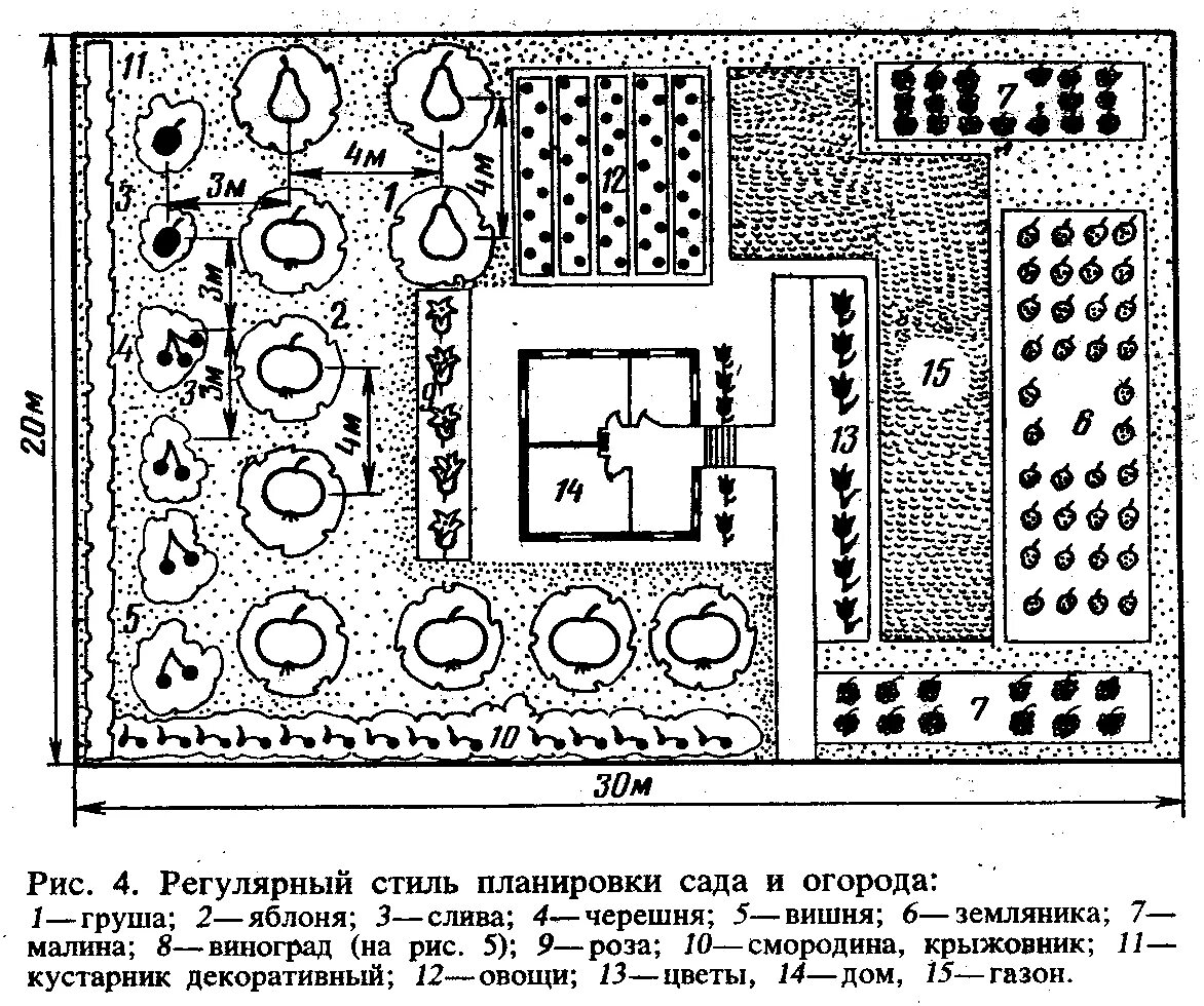 Расположение плодовых деревьев на участке схема Как расположить деревья и кустарники - найдено 90 картинок