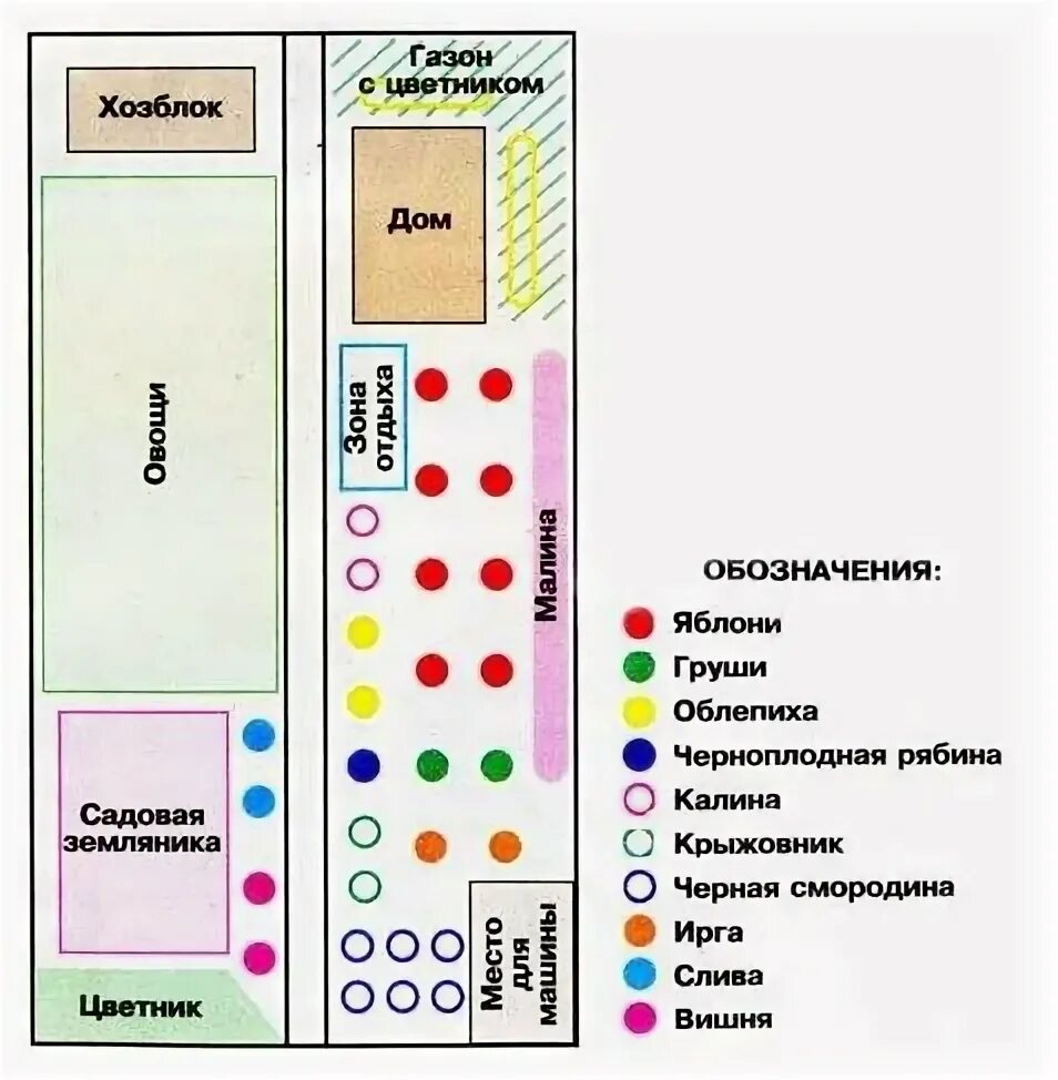 Расположение плодовых деревьев на участке схема Требования к участку, планирование сада, подготовка участка и посадка деревьев F