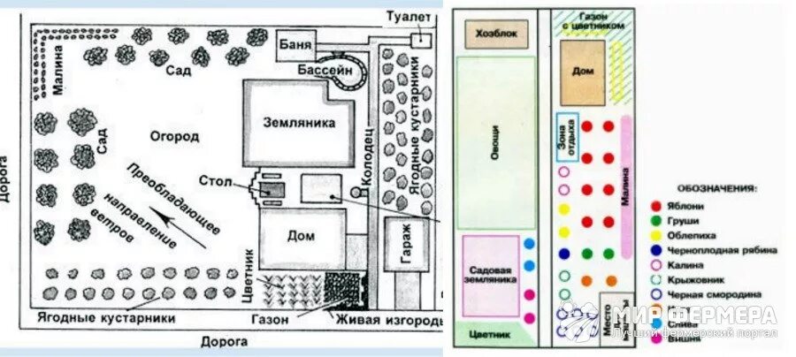 Расположение плодовых деревьев на участке схема Плодовые деревья и кустарники: посадка в домашних условиях