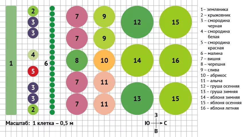 Расположение плодовых деревьев на участке схема Схема плодового сада фото и видео - avRussia.ru