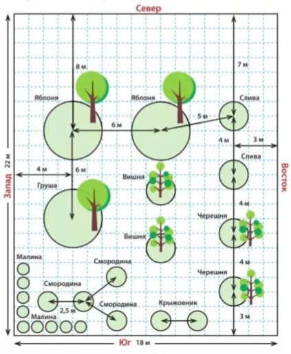 Расположение плодовых деревьев на участке схема Планировка сада от семьи Сергеевых - Строительство коттеджей и новые проекты дом