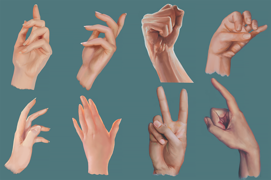 Расположение рук на фото Male and Female Hand Studies Hand reference, Anatomy reference, Human body drawi