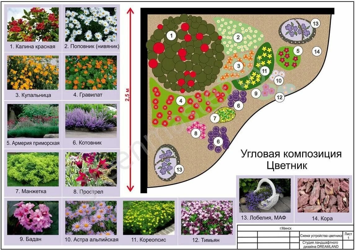 Расположение цветов схема Миксбордеры в ландшафтном дизайне, фото - Rehouz