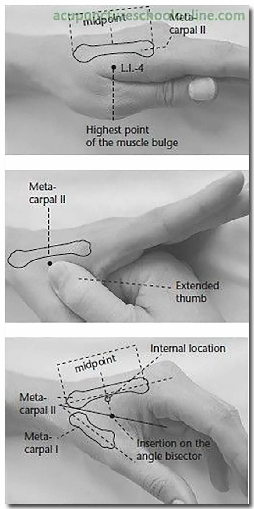 Расположение точки g схема The Basics Of Using Acupuncture For Your Ailments Akupunktura, Akupresura i Refl