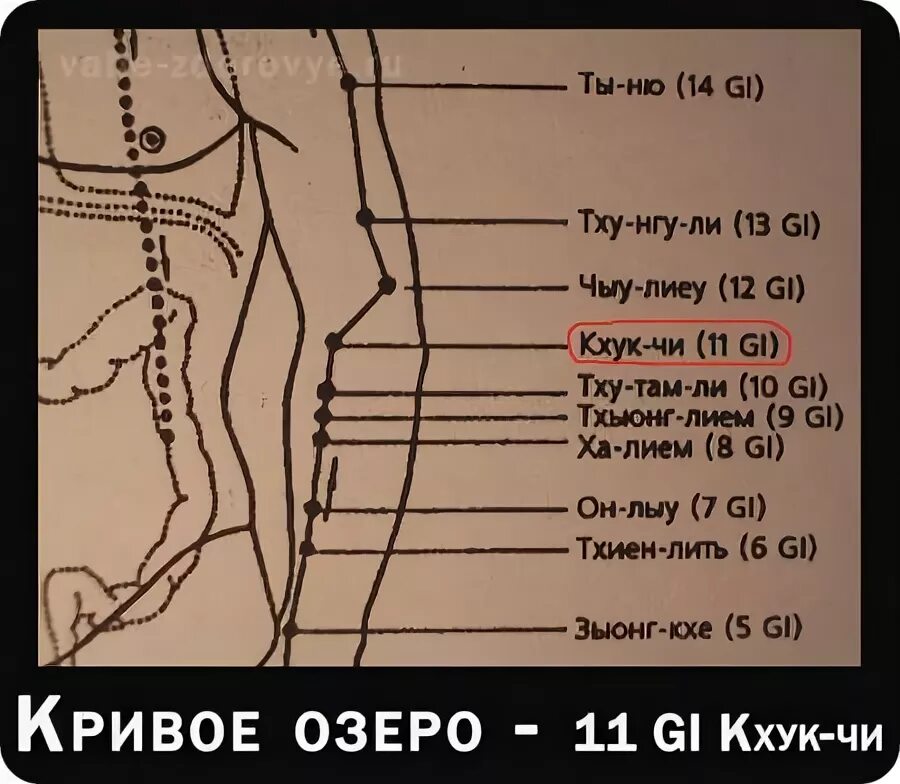 Расположение точки g схема Схема расположения точки g