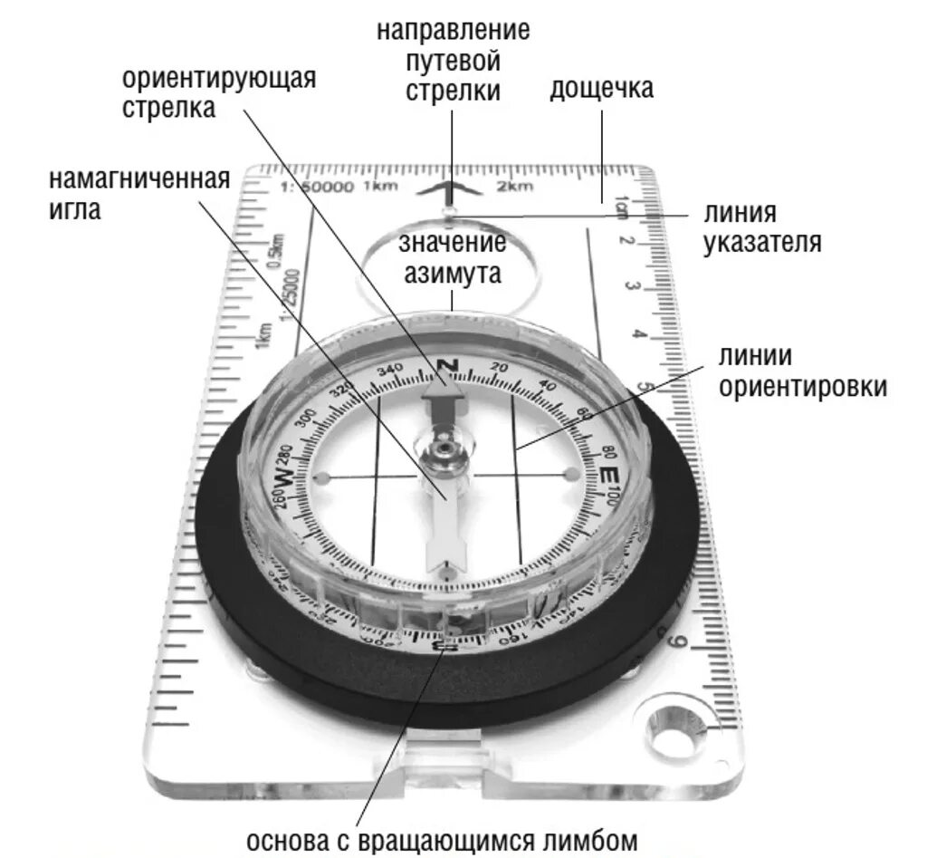 Расположения компаса схема Компас, виды, принцип работы