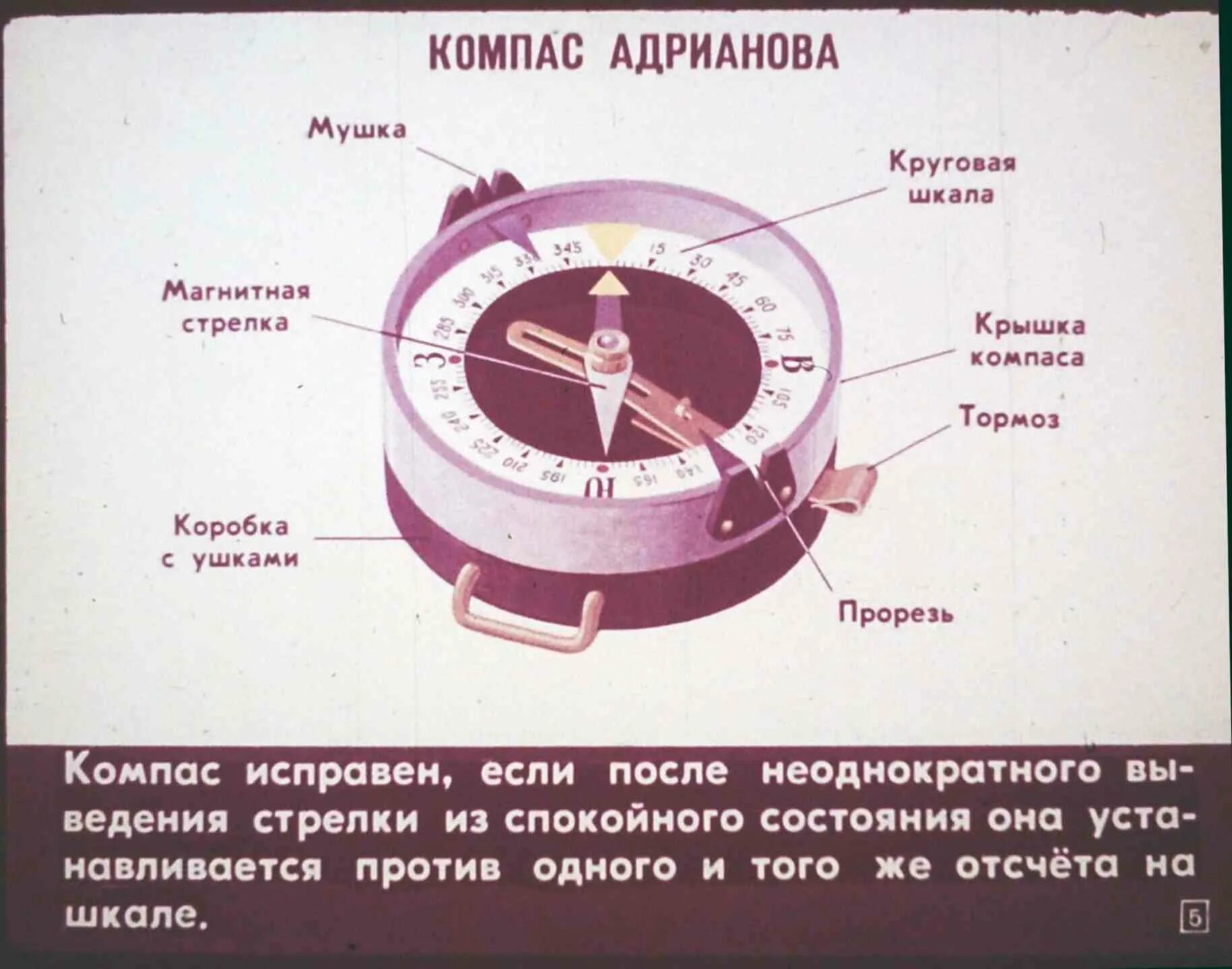 Расположения компаса схема Катастрофы и выживание в кризисных ситуациях