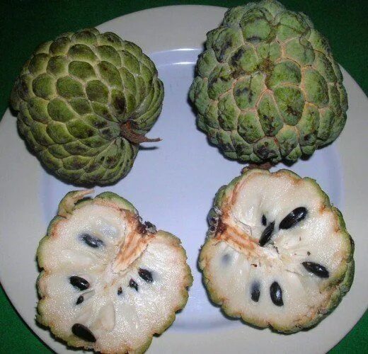 Распознать фрукт по фото The World’s Weirdest and Most Exotic Fruits Weird fruit, Exotic fruit, Fruit