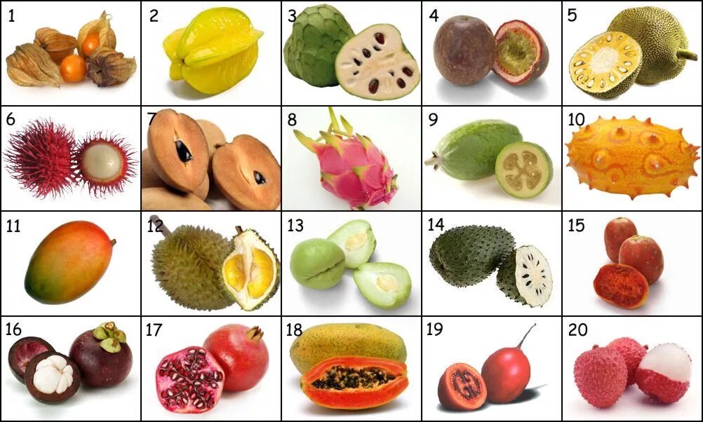 Распознать фрукт по фото exotic fruits of the world to be guessed in order The world is full of colourful