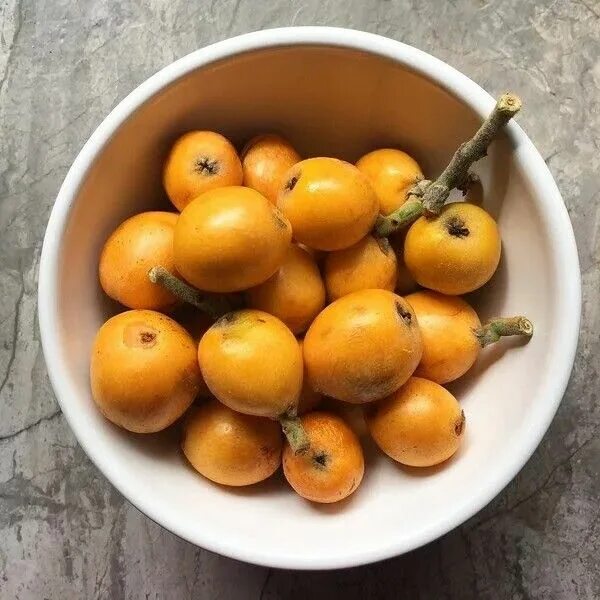 Распознать фрукт по фото онлайн Loquat